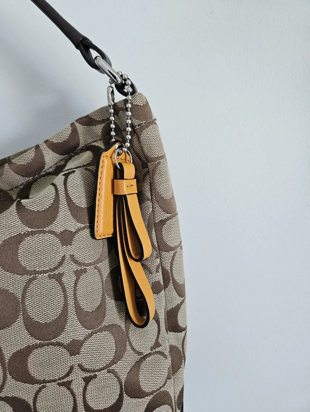Coach Park Signature Hobo Bag Brown Leather And Canvas